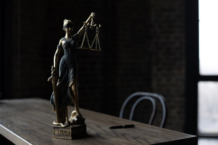 Professional Criminal Justice